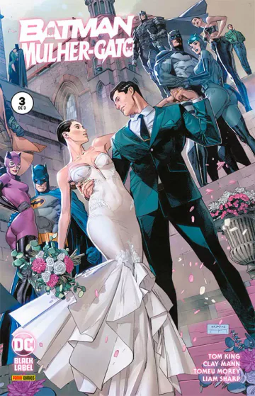 Capa de Batman/Mulher-Gato Vol. 3, Panini