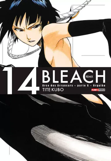 Capa de Bleach Remix Vol. 14, Panini